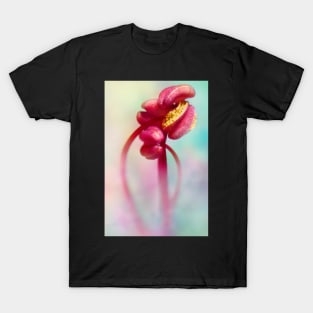 Geranium Swirls T-Shirt